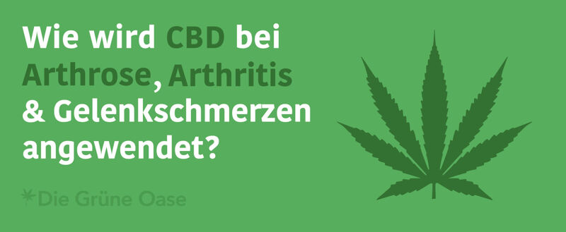 Anwendung von CBD bei Arthrose und Arthritis.